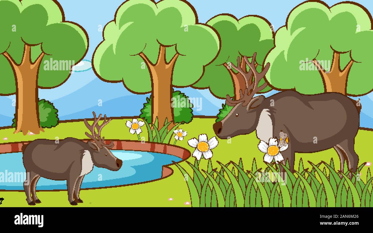 Scene with deers in the park illustration Stock Vector Image & Art - Alamy