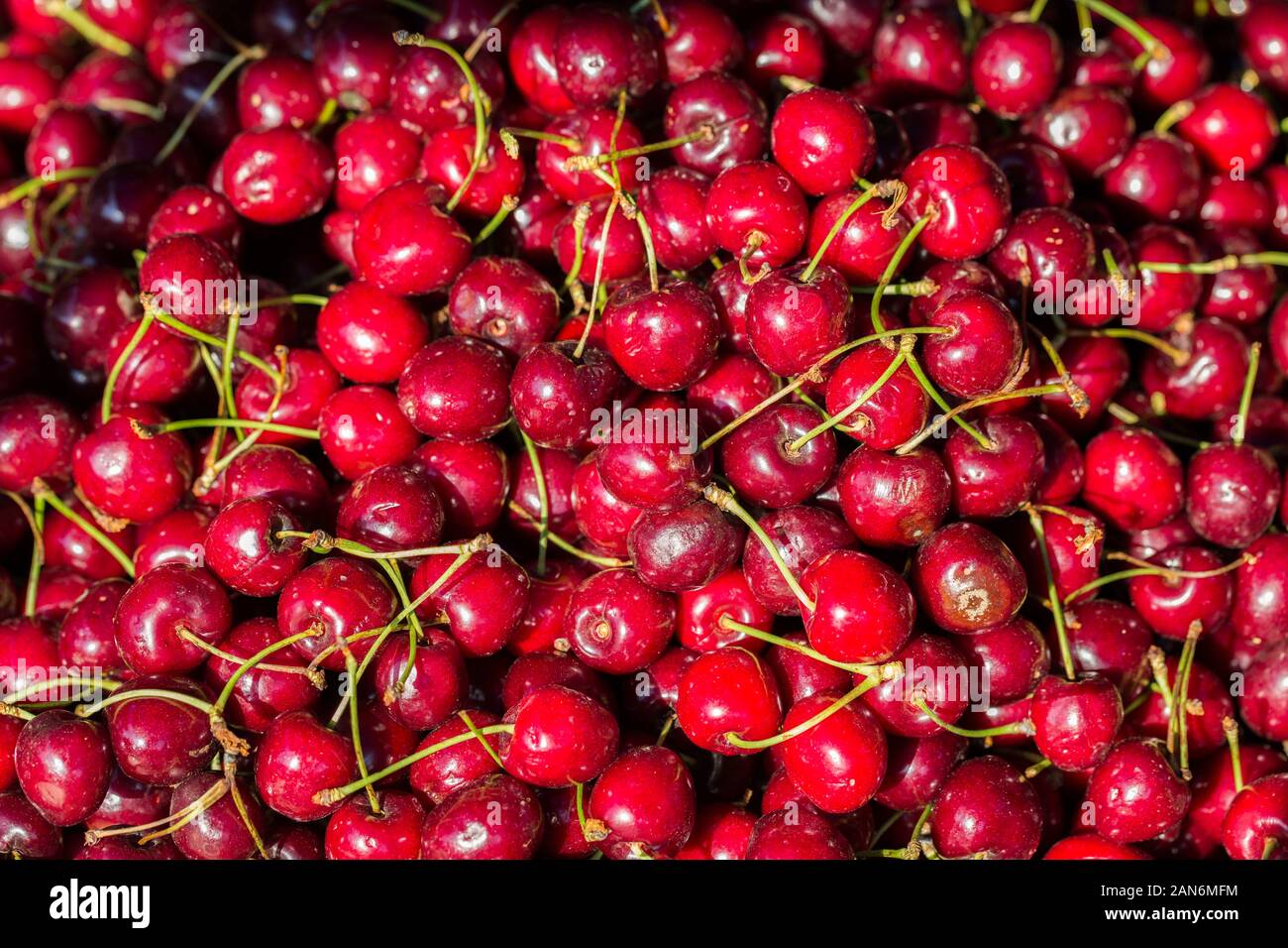 View on fresh, red cherries. Cherries are a fleshy drupe (stone fruit) and belong to the genus of prunus (trees & shrubs with fruits like cherries). Stock Photo