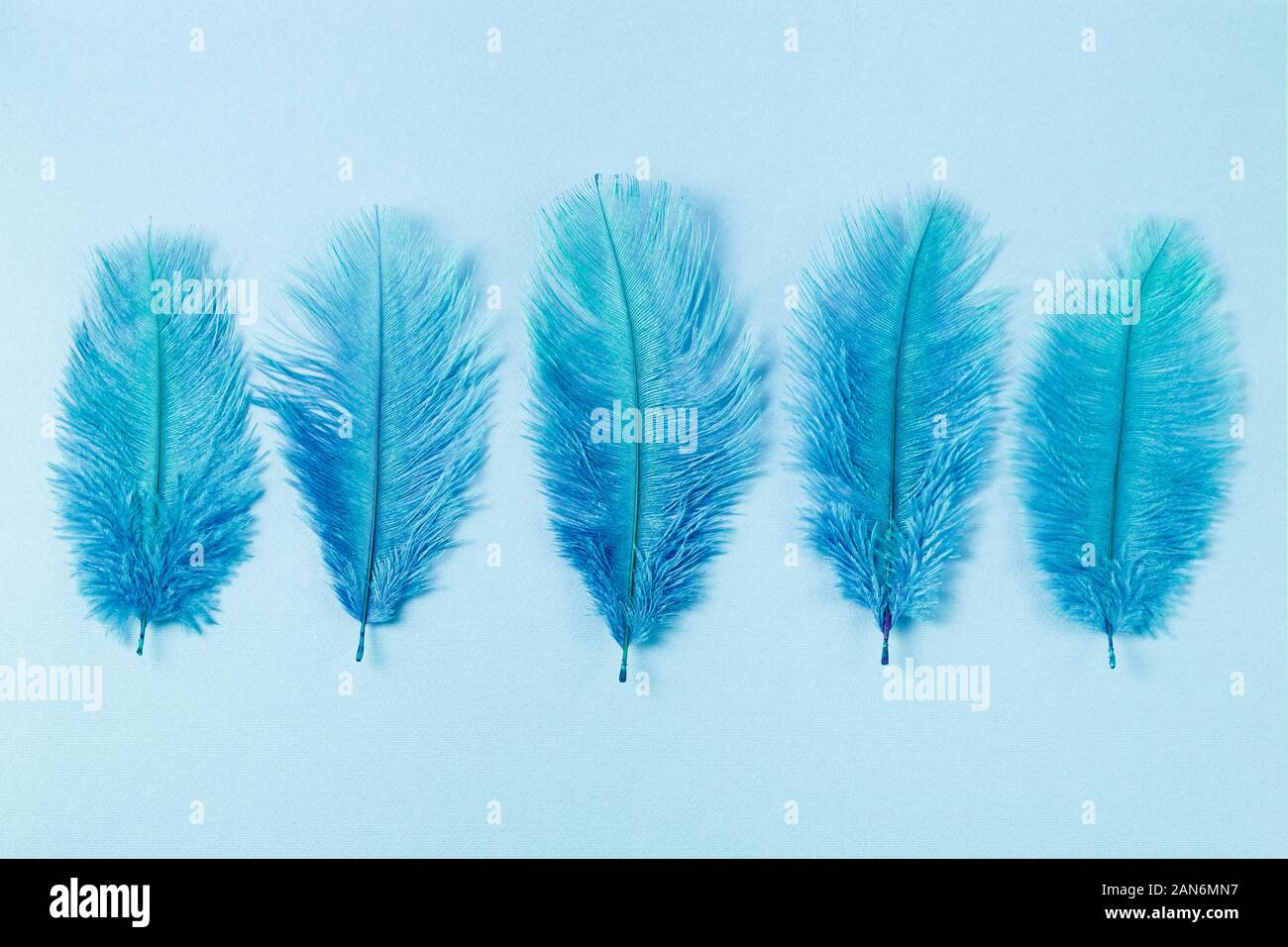Abstract blue feathers hi-res stock photography and images - Alamy