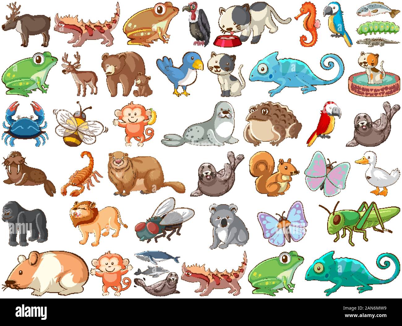 Large set of wildlife with many types of animals land and sea illustration  Stock Vector Image & Art - Alamy