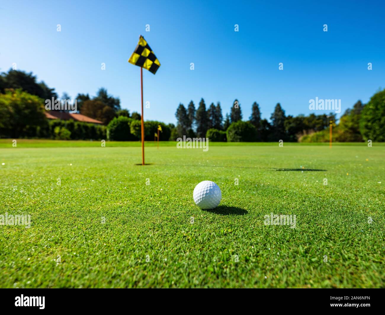golf ball in a driving range Stock Photo Alamy