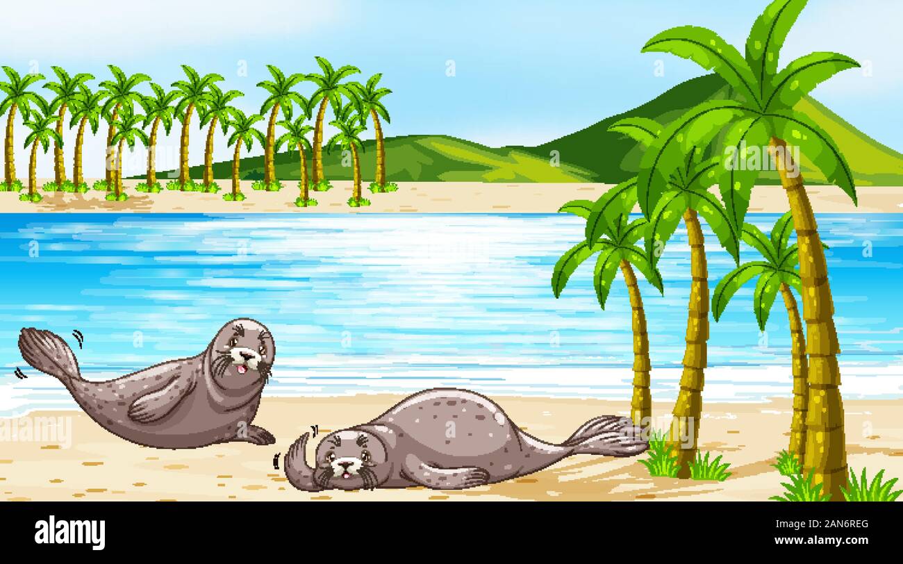 Scene with seals on the beach illustration Stock Vector Image & Art - Alamy
