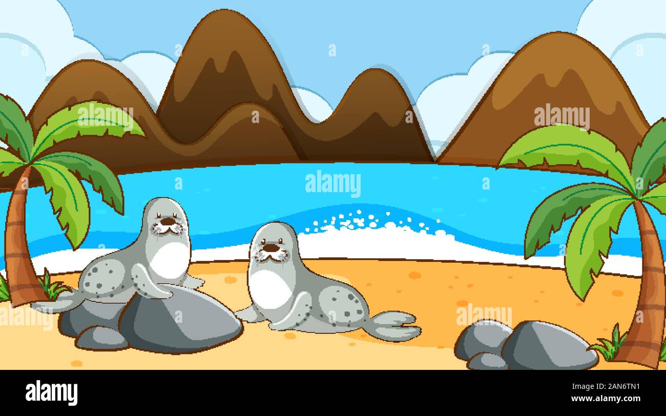 Seals on the beach illustration Stock Vector Image & Art - Alamy