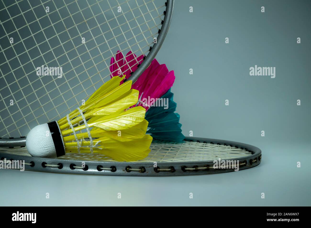 Badminton rackets and colorful feathered shuttlecocks in yellow, blue ...