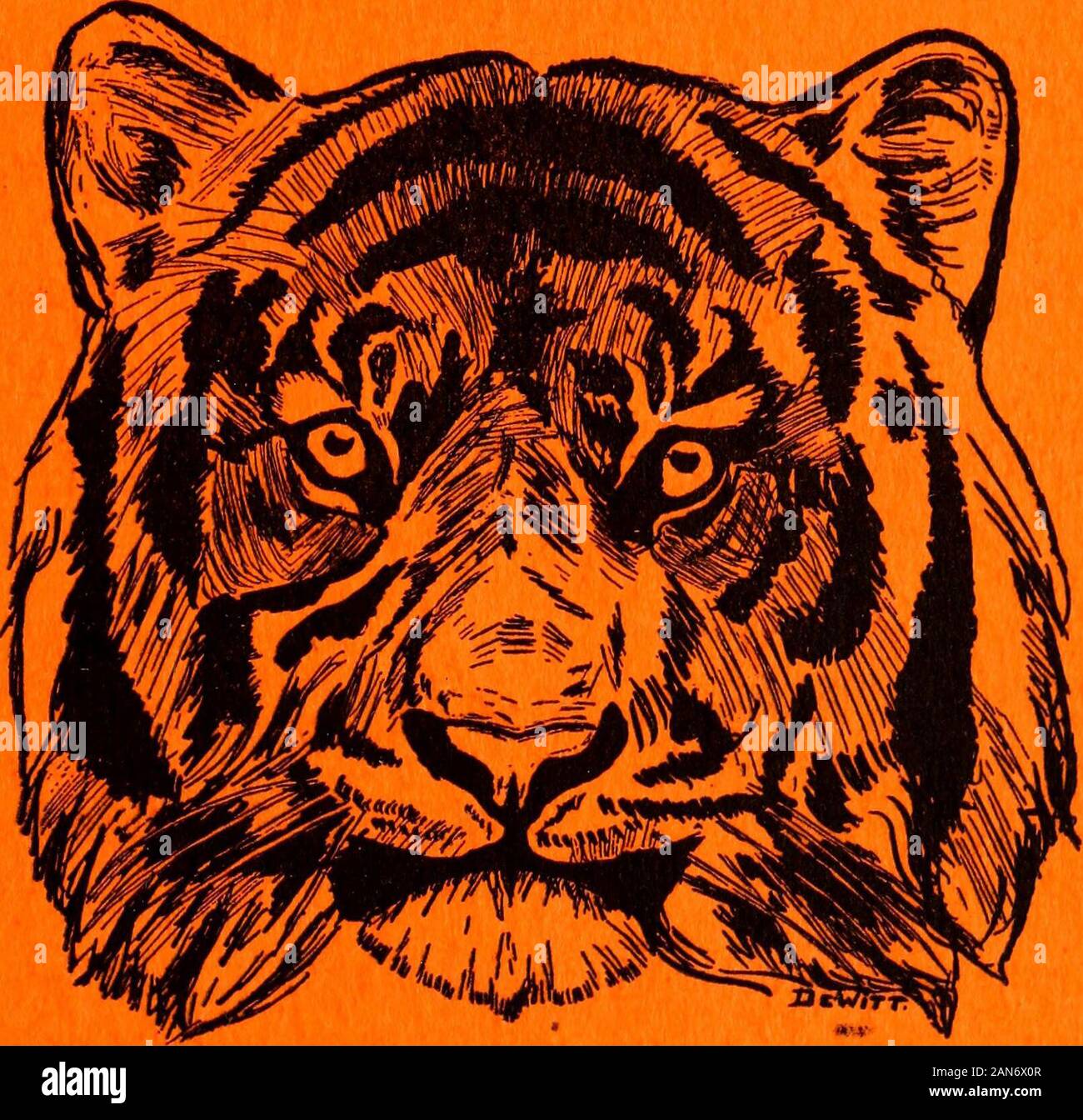 The Tiger (student newspaper), Sept1903-June 1904 . ™£ TIGER Colorado College . / MARCH 16, 1904 VOLX/ME VI. /lumber 23 ij Special Rates to Students ON RENTED PIANOS THE KNIGHT-CAMPBELL Music Company ! NEW LENNOX BLOCK OPPOSITE NORTH PARK iSt.JohnBros.rCT,CALPLUMBERS GAS cAND STEAM FITTERS Hot Water Heating a Specialty Prompt attention given to Repair Work. ? Curtis Goal Co. Office, 132 N. Tejon Street. Telephone 91 Try NEW RANGE for theKitchen, $4.00. Bituminous Coal at standard Prices.; SELDMONRIDGE BROTHERS Wholesale and Retail Dealers in   Flour, Feed, Grain, Hay and SeedsW8 South Tejon Stock Photo