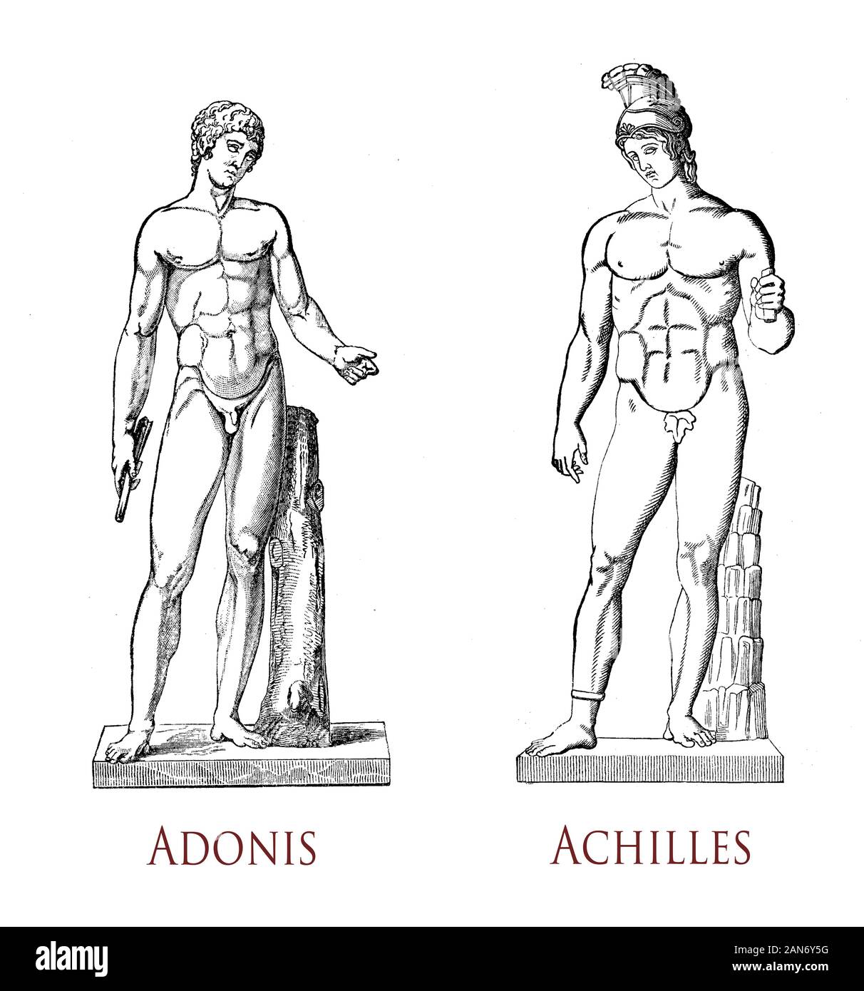 Adonis Body Adonis statue hi-res stock photography and images - Alamy