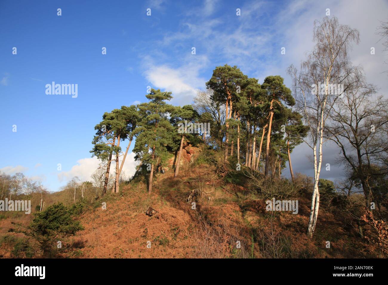 The Devil's spittleful hill in the Rifle range nature reserve, Bewdley, Worcestershire, England, UK. Stock Photo