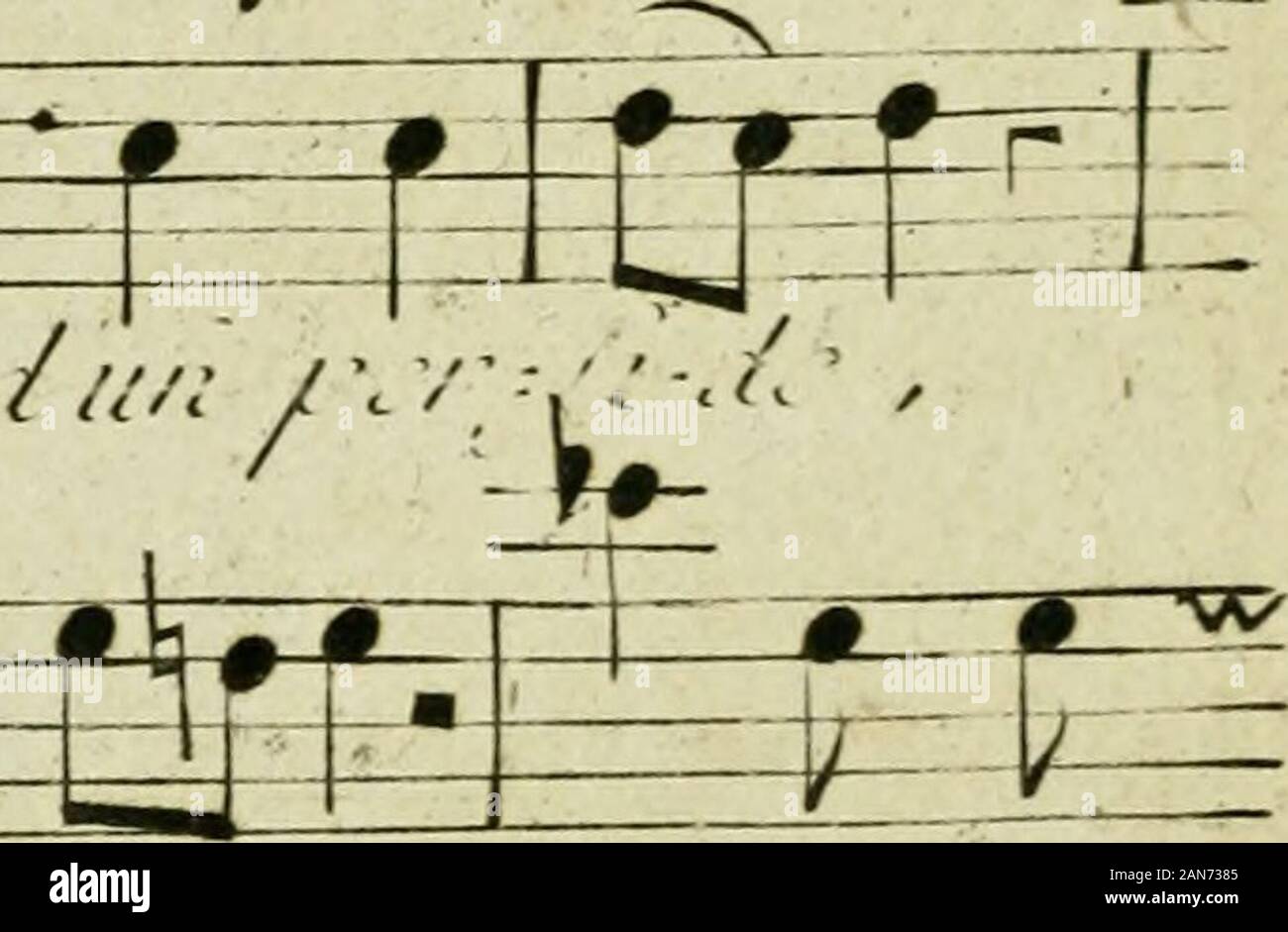 Page 2 Ninette High Resolution Stock Photography And Images Alamy