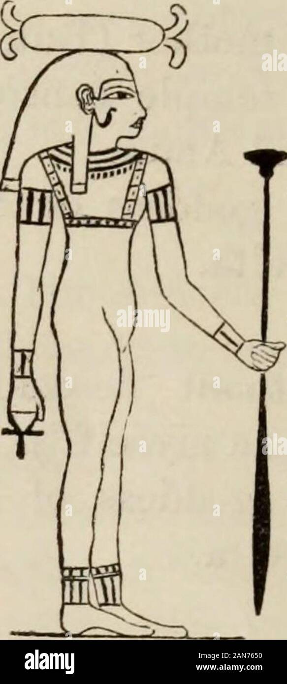 Handbook of archaeology, Egyptian - Greek - Etruscan - Roman . 142 HANDBOOK OF ARCHAEOLOGY. Seti (in Coptic, Sate, ray,arrow ),The consort of Kneph. Kneph (Chnubis), The ram-headed god ofThebes. Phtah, The creator of the world,The god of Memphis. Ra, Helios, the sun god,The god of Heliopolis (On) inthe Delta. 0 m,. Stock Photo