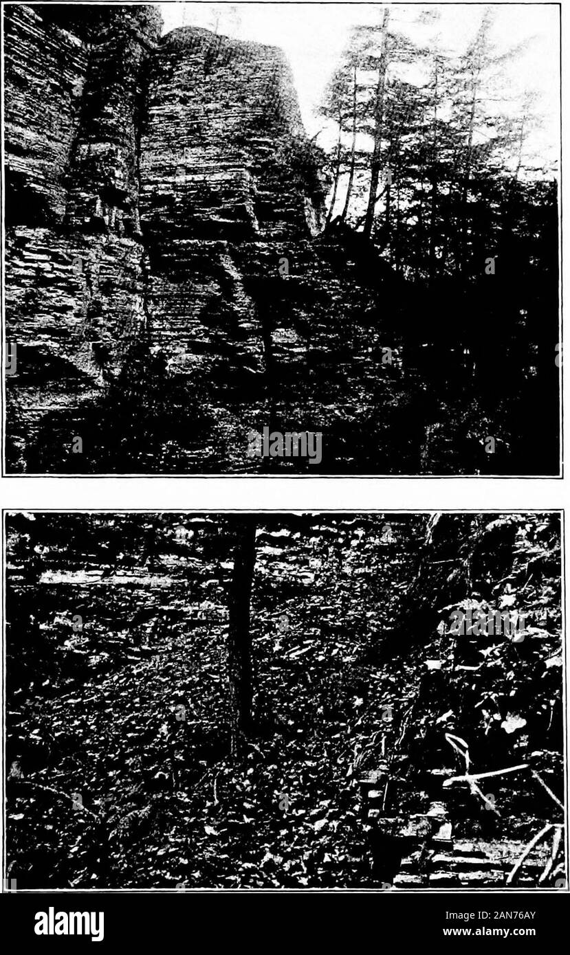 Soils and fertilizers . r Ume or other base that it contains. The quan ...