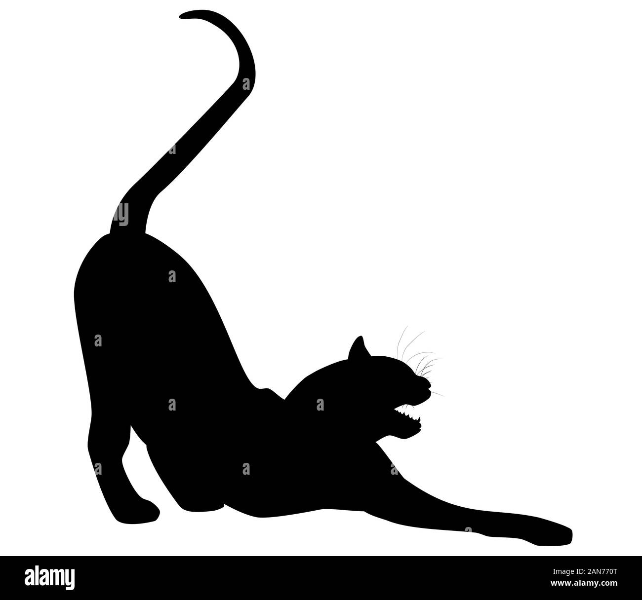 Panther head profile side Black and White Stock Photos & Images - Alamy