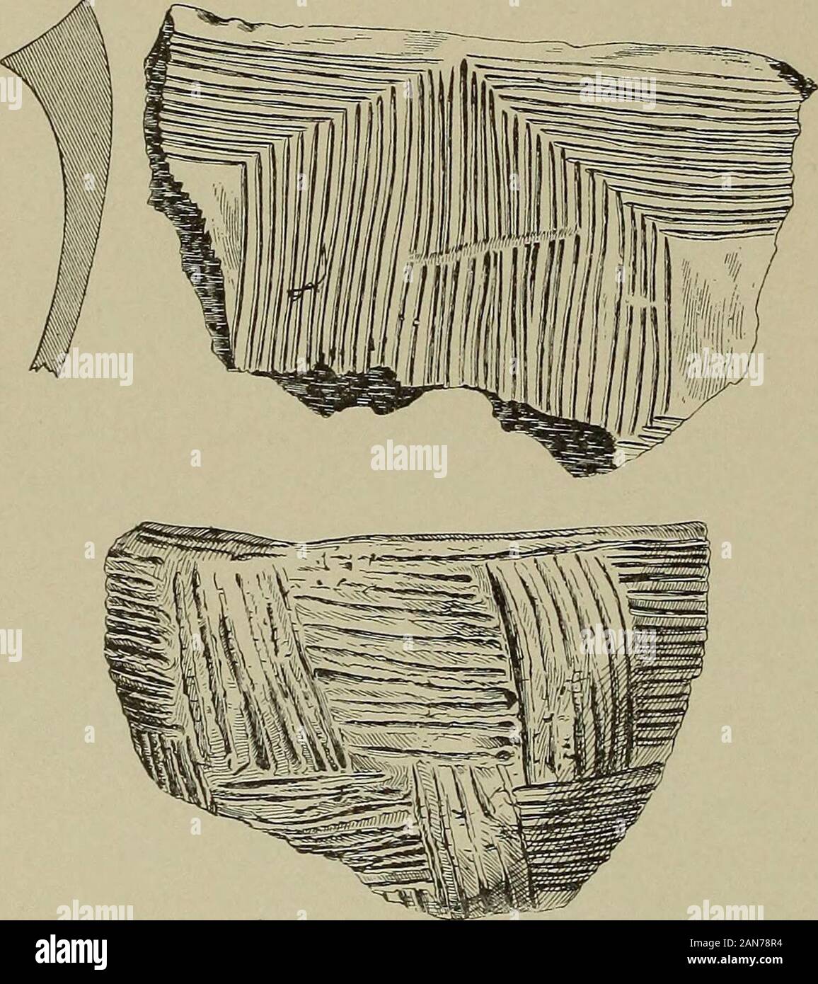 Journal of the Academy of Natural Sciences of Philadelphia . nassociated with human remains. Orange Mound.—Orange mound is a somewhat crescent-shaped mass of shellsand sand in the centre of which several bodies were inhumed.1 Pottery of the por-ous variety, stamped and plain, occurs on the surface and in the superficial loam toa foot in depth. From one foot in depth to a depth of about five feet pottery of adistinct type, the midden ware, occurs imbedded in Ampullaria shells and associatedwith beds of ashes. The remaining 10 feet of deposits were without pottery. Thismidden ware is rudely made Stock Photo