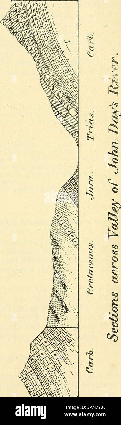 Eleventh annual report of the United States Geological and Geographical Survey of the Territories : embracing Idaho and Wyoming : being a report of progress of the exploration for the year 1877 . e. dfrunoyj u.3Aay[- ?%K&gt;g i -?y peale.] DESCRIPTIVE GEOLOGY—JOHN DAYS EIVER. 545 west side of the river, -where they form gray and reddish bluffs as farnorth as the abrupt westward turn in the river. Four or five miles northwest of Station 53 the Wyoming Eange is cutby a stream flowing a few degrees south of west. From the mouth ofthis creek the course of John Days Eiver is west for about a mile a Stock Photo