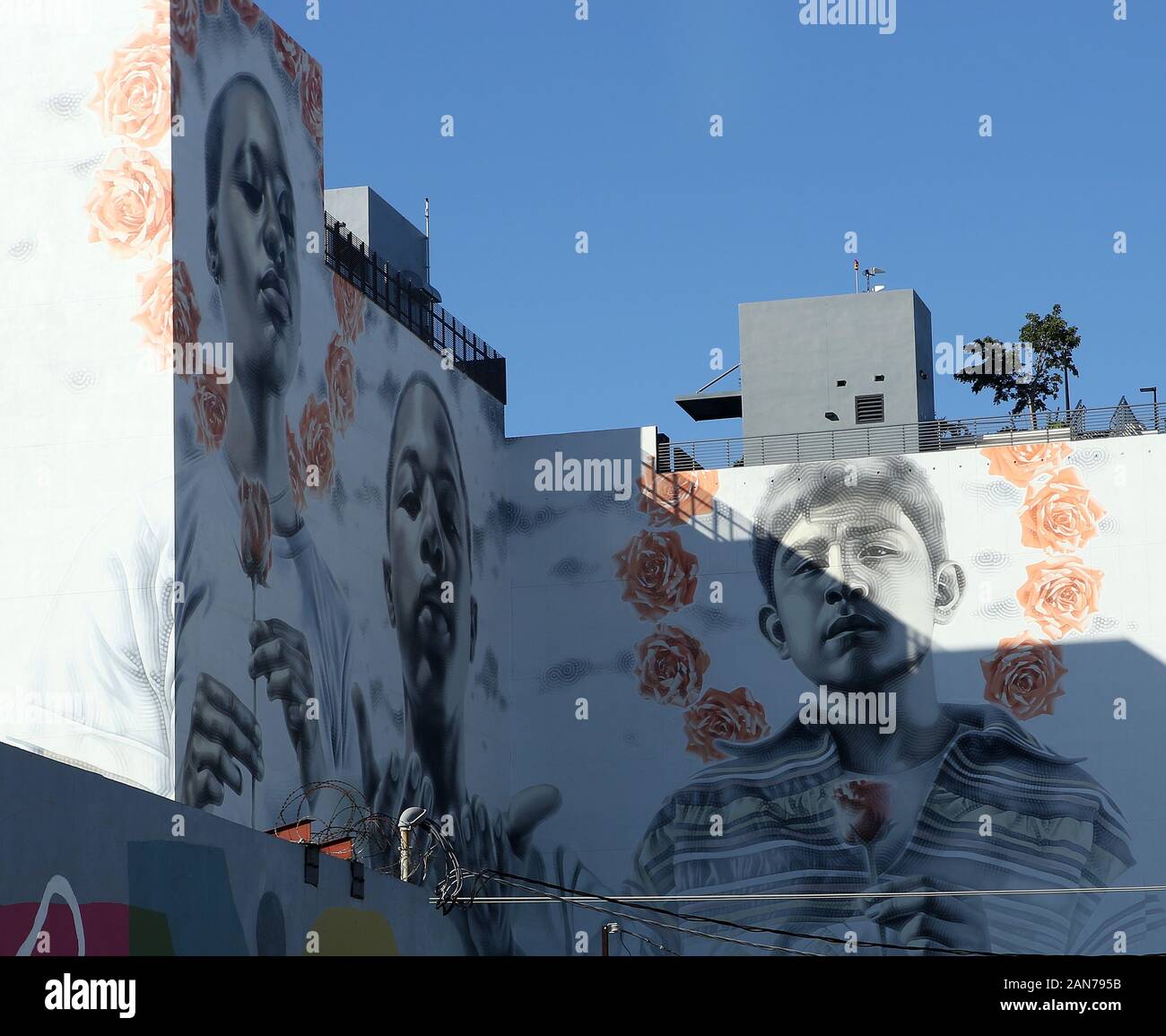 Wynwood walls , street art graffiti, Miami, Florida Stock Photo Alamy