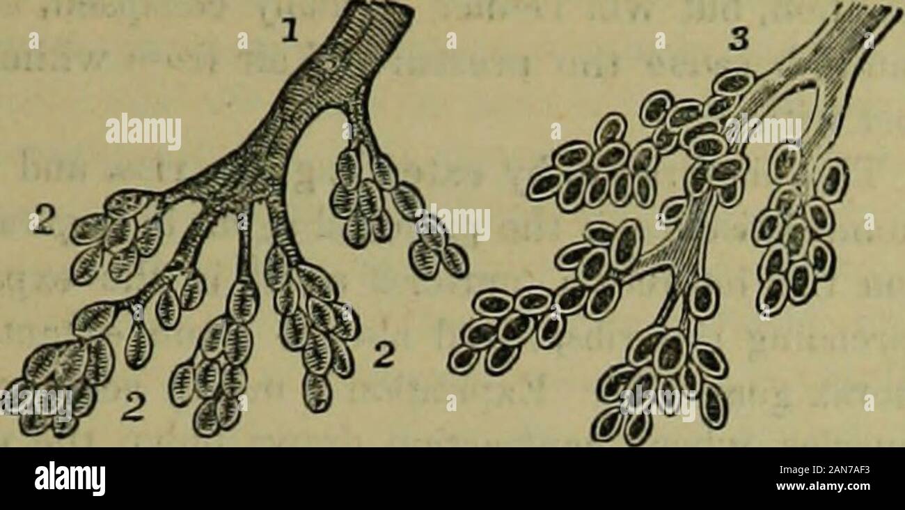 The hydropathic encyclopedia: a system of hydropathy and hygiene .. . cl)the iron is removed. Respiration occurs in aquatic animals which do not breathe air. lathem the respiratory organs are membranes prolonged The hydropathic encyclopedia: a system of hydropathy and hygiene .. . cl)the iron is removed. Respiration occurs in aquatic animals which do not breathe air. lathem the respiratory organs are membranes prolonged