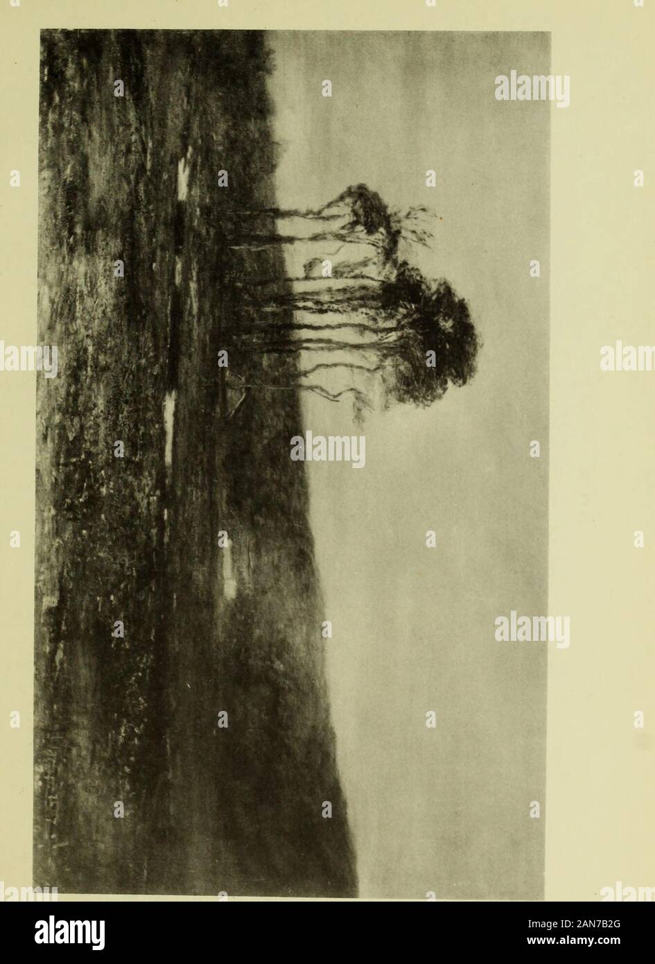 Fifty Eight Paintings By Homer Dmartin Erspedlive From The Rigkt Until Inthe Di Ance At Tke Left Tke Tops Of Trees Growing Intke Nearer Lowlands Projedl Above Tke Kilmine Tkebrown Bank Of Tke