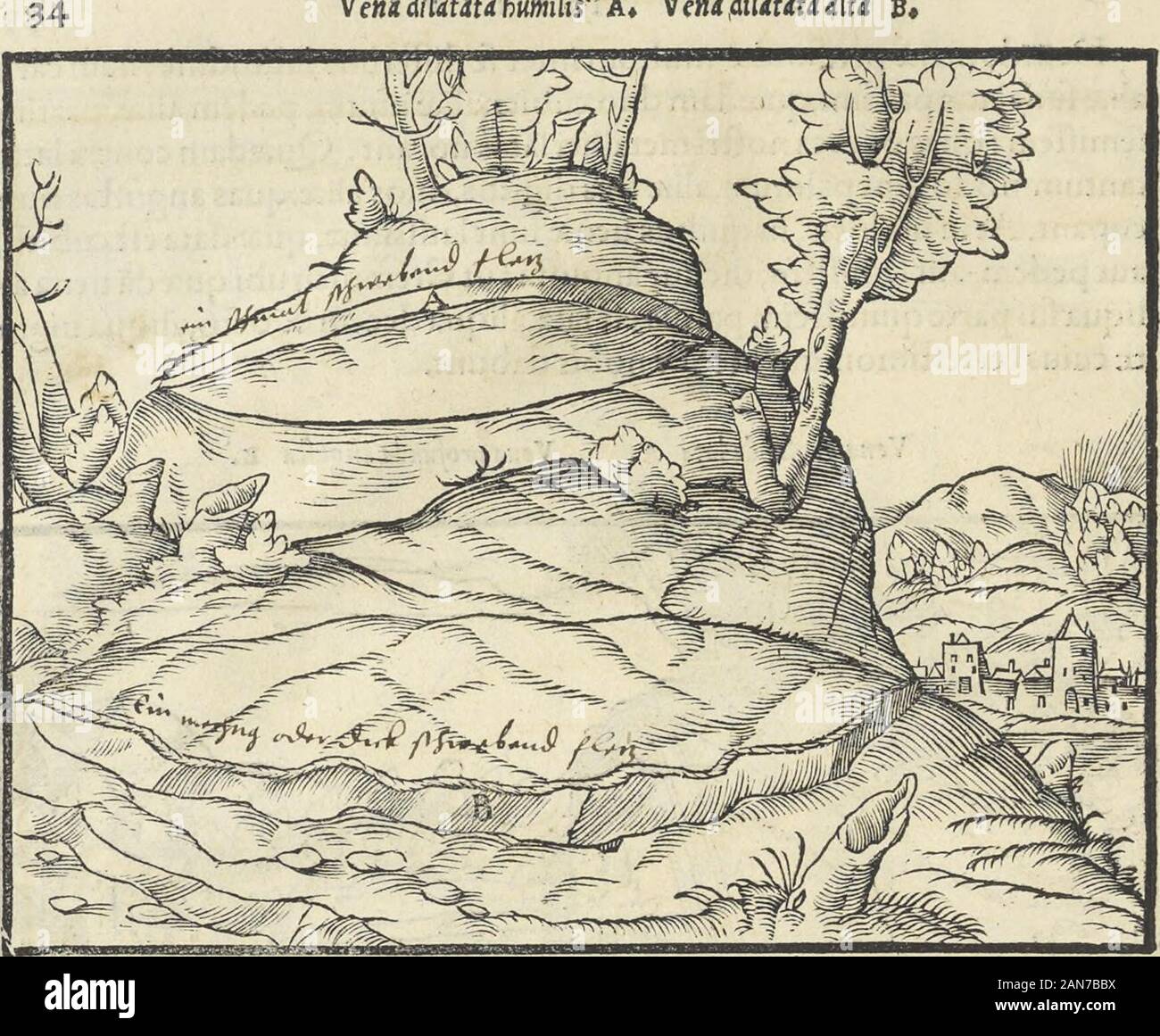 Georgii Agricolae De re metallica : libri XIIQuibus officia, instrumenta, machinae, ac omnia deni[que] ad metallicam spectantia, non modo luculentissimè describuntur, sed & per effigies, suis locis infertas, adiunctis latinis, germanicis [que] appellationibus ita ob oculos ponuntur, ut clarius tradi non possint; Eiusdem De animantibus subterraneis liber, . Dilatatx uero inter fe difFerunt altitudine: etenim earum alise pafTum u*num,autduos,autpluresfuntaltse,partimcubitum,aIia:pedem,femifrenialia:: quas omnes appellarefolentaltas, Qua:dam contraalta: funtpalmu,alia: tres digitos.duos alix,par Stock Photo