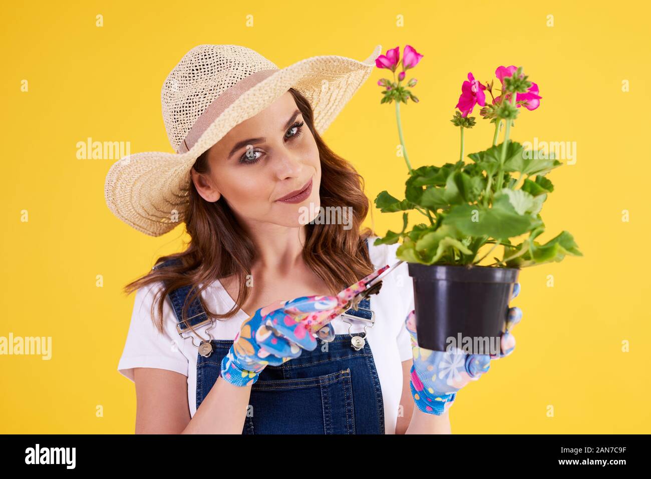 Smiling woman pruning flower in flower pot Stock Photo