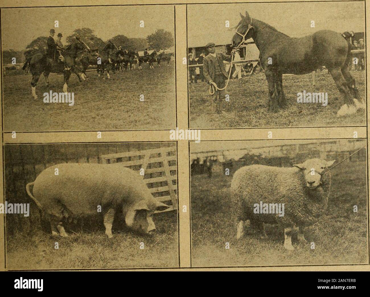 Kentish express hi-res stock photography and images - Alamy