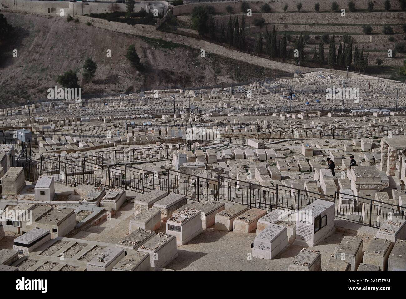 DEC 2019 Cemetery and Jerusalem old city from the Mount of Olives ...
