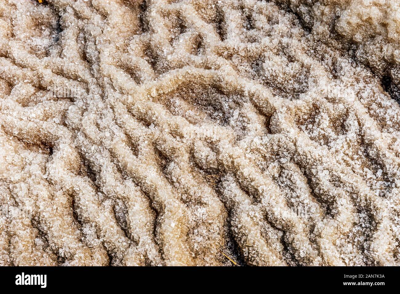 Salt crystals in dead sea hi-res stock photography and images - Alamy