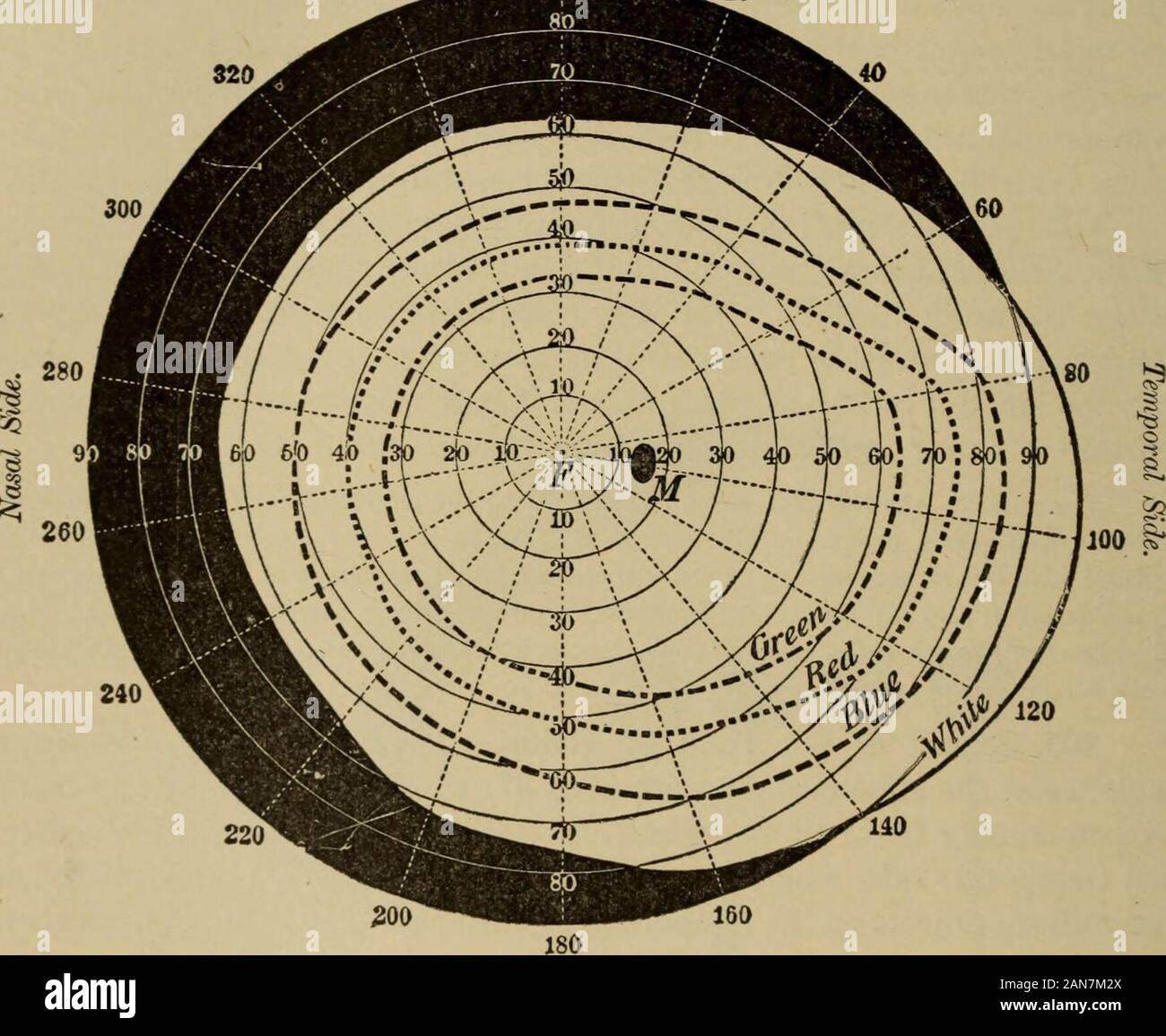 Layers of the retina hi-res stock photography and images - Alamy