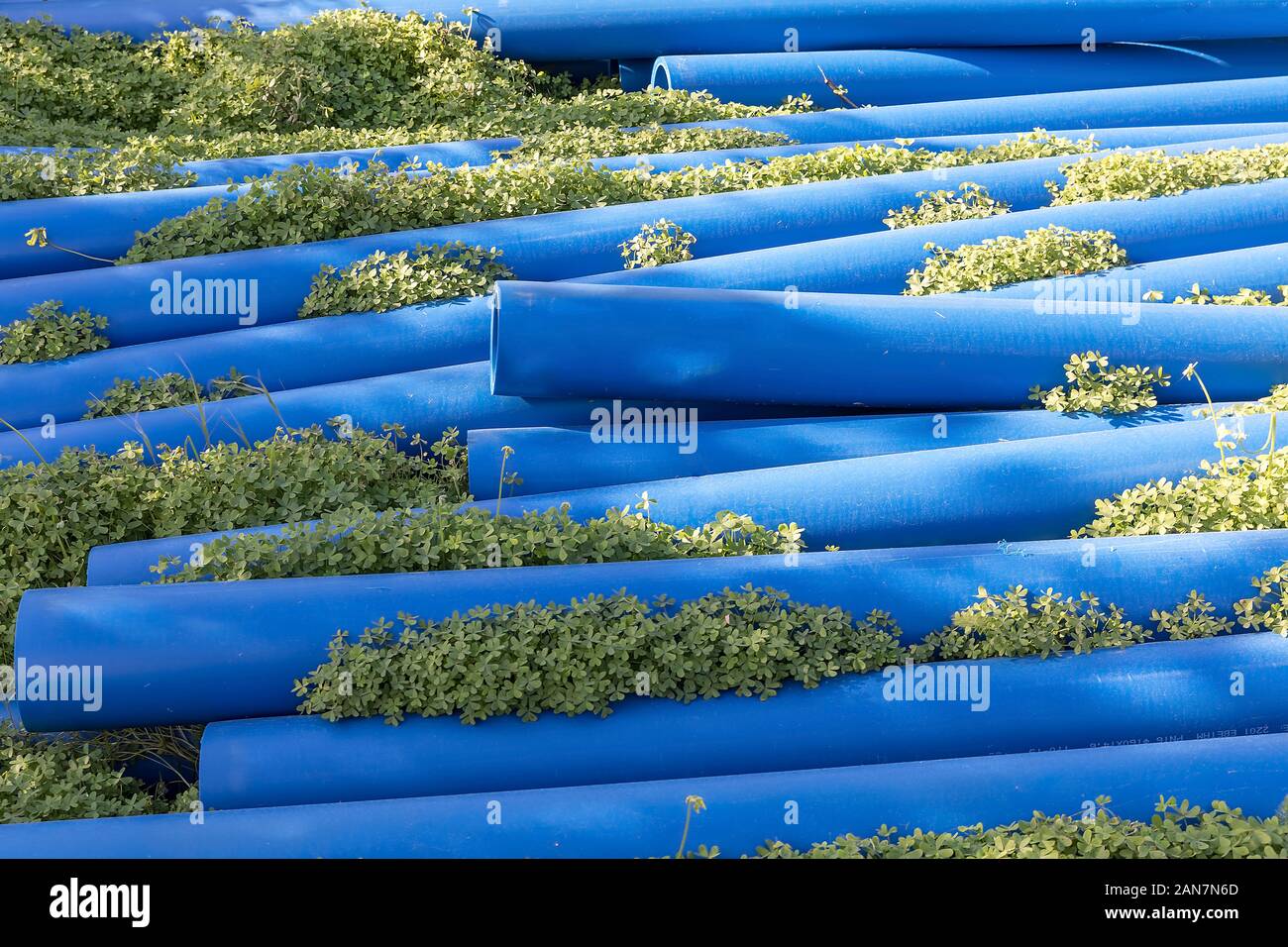 Water Pipes lying on a field of clover. Stock Image Stock Photo