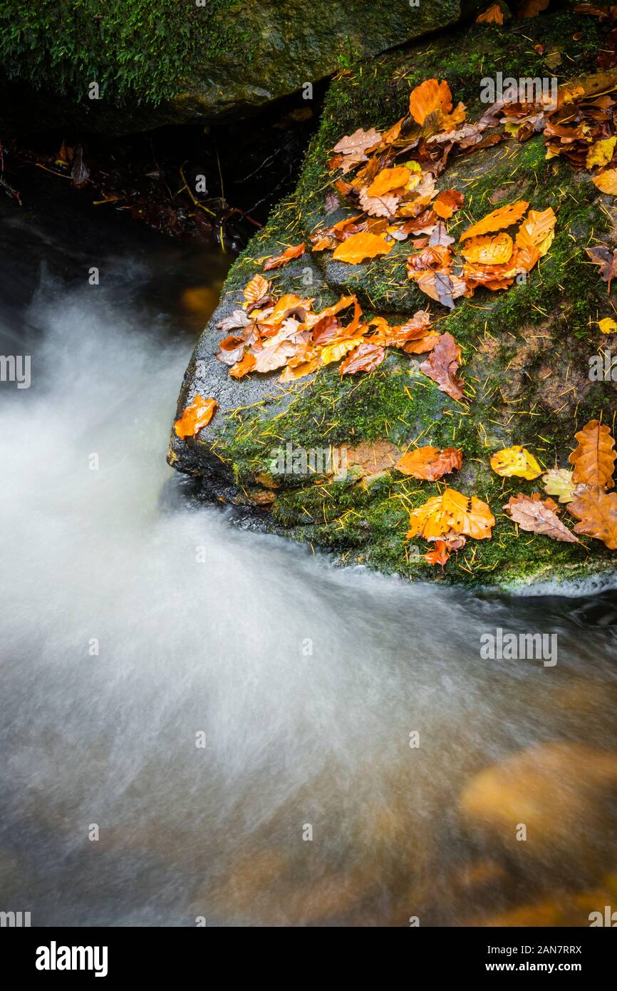 Water flowing around stones hi-res stock photography and images - Alamy