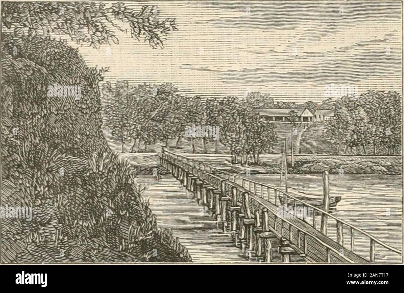 Gortonites hires stock photography and images Alamy