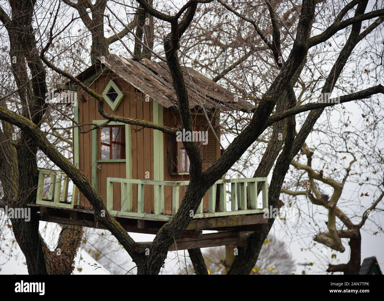 Tree house, used as decoration at the Mill of the elves, a Christmas bazaar taking place at Trikala, Greece. Stock Photo