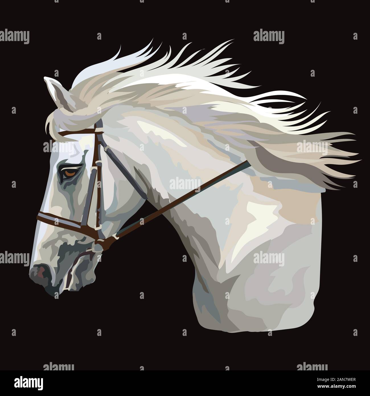 Horse po hi-res stock photography and images - Alamy