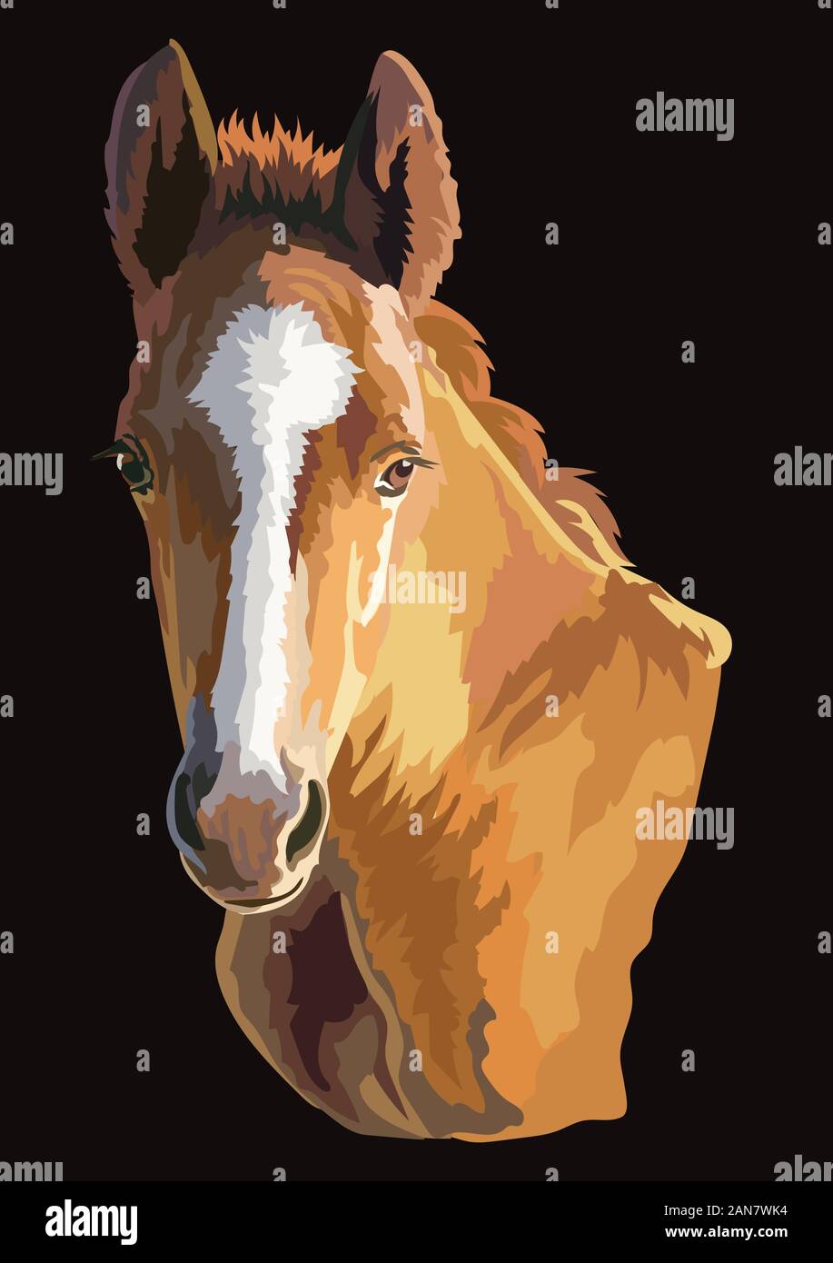 Colorful cute pony foal portrait. Young pony head  isolated on black background. Vector drawing illustration. Retro style portrait of pony. Stock Vector