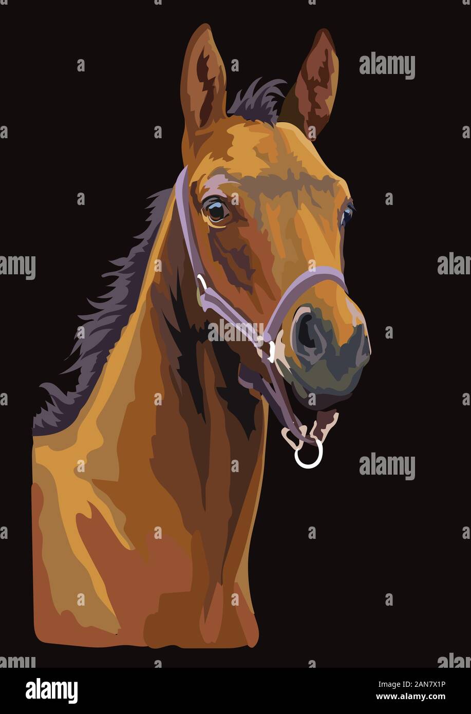 Colorful bay foal portrait with halter. Foal head isolated on black background. Vector drawing  illustration. Retro style portrait of foal. Stock Vector