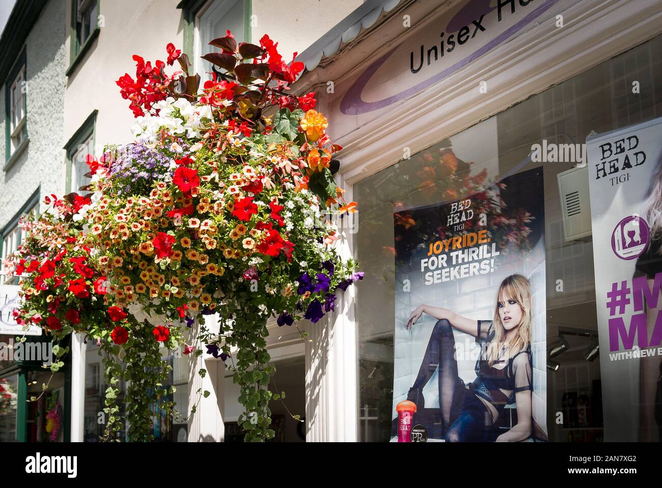 A hanging basket of annual flowers form part of the urban floral display in Devizes Wiltshire England UK Stock Photo