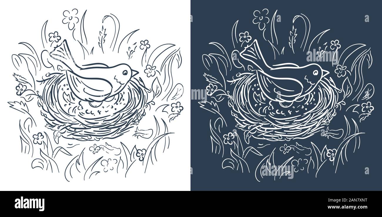 bird sitting in a nest on eggs black and white illustration. Isolated ...