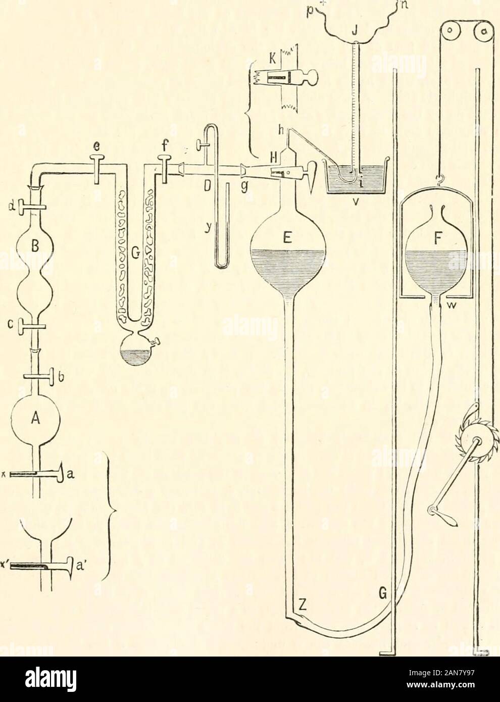 A manual of human physiology, including histology and microscopical ...