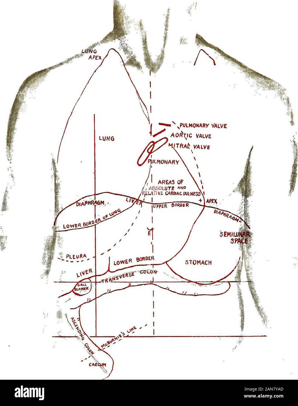 Water hammer pulse hires stock photography and images Alamy