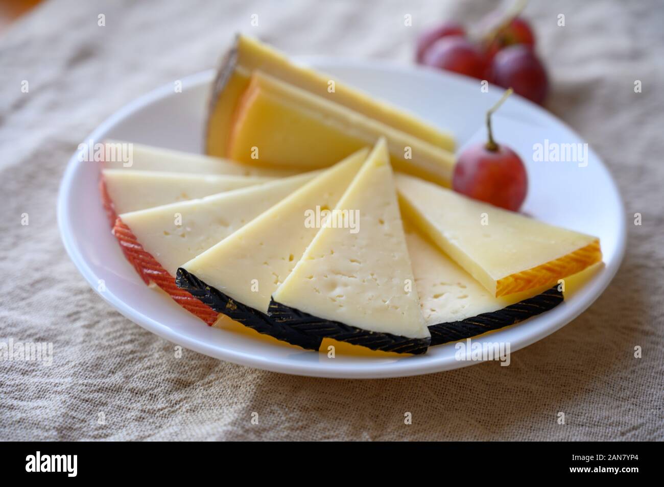 Cheese collection, variety of Spanish manchego cheese made from cow and