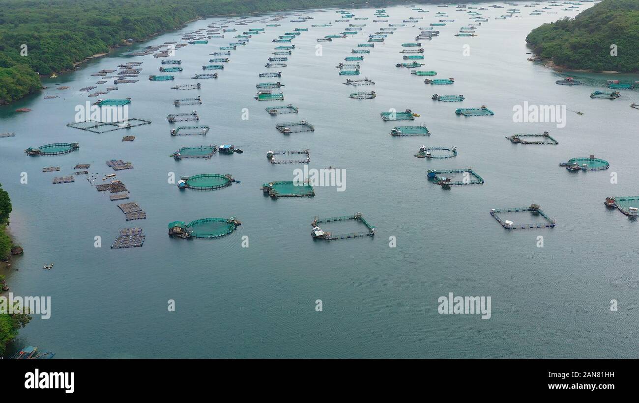 Fisheries on Luzon Island, Philippines. Fish farm, top view. Aerial
