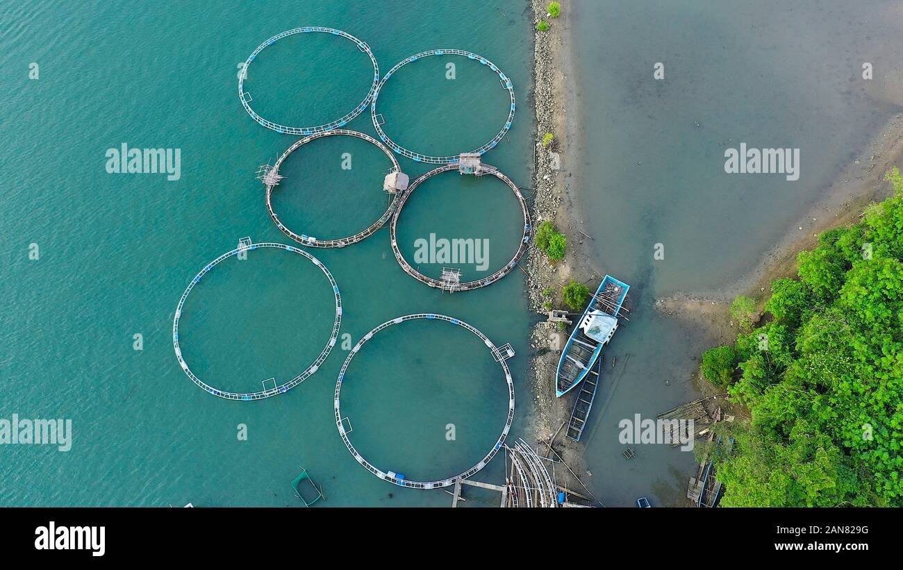 Fishing industry. Fish farming on an industrial scale. Aerial view of