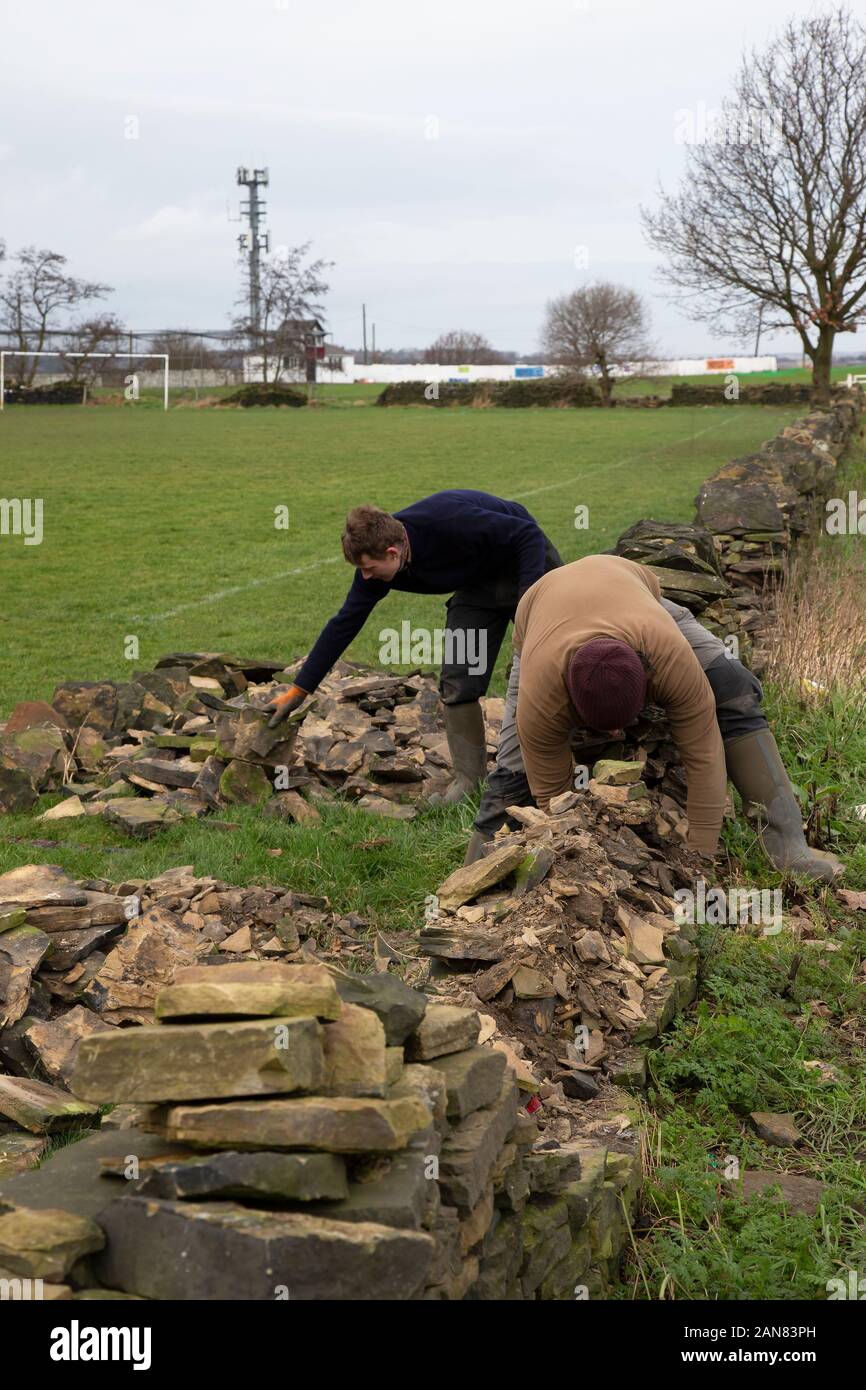 Dry stone wall craftsmen restoring a dilapidated wall to its former glory on the boundary of a sports field in West Yorkshire, England Stock Photo