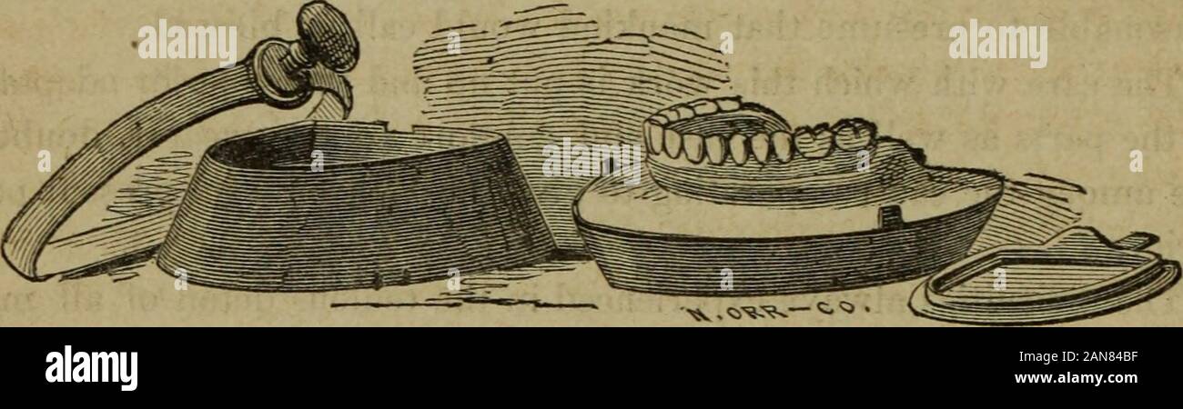 Plasterer Shellac Dental Shellac High Resolution Stock Photography and Images - Alamy