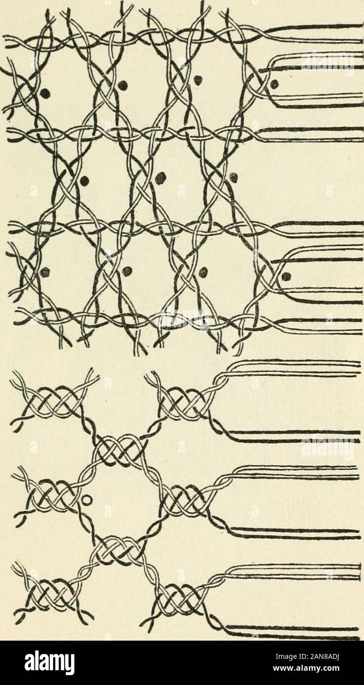 Bobbins of Belgium; a book of Belgian lace, lace-workers, lace-schools and lace-villages . s. Mesh of snow-ball pattern, used in Binche It is necessary to mention with these laces,Torchon, the most common of all, which has littleartistic value, and has entered more and moreinto the domain of the machine. Torchon base(sketch w.). APPENDIX d9d. SOO BOBBINS OF BELGIUM Stock Photo