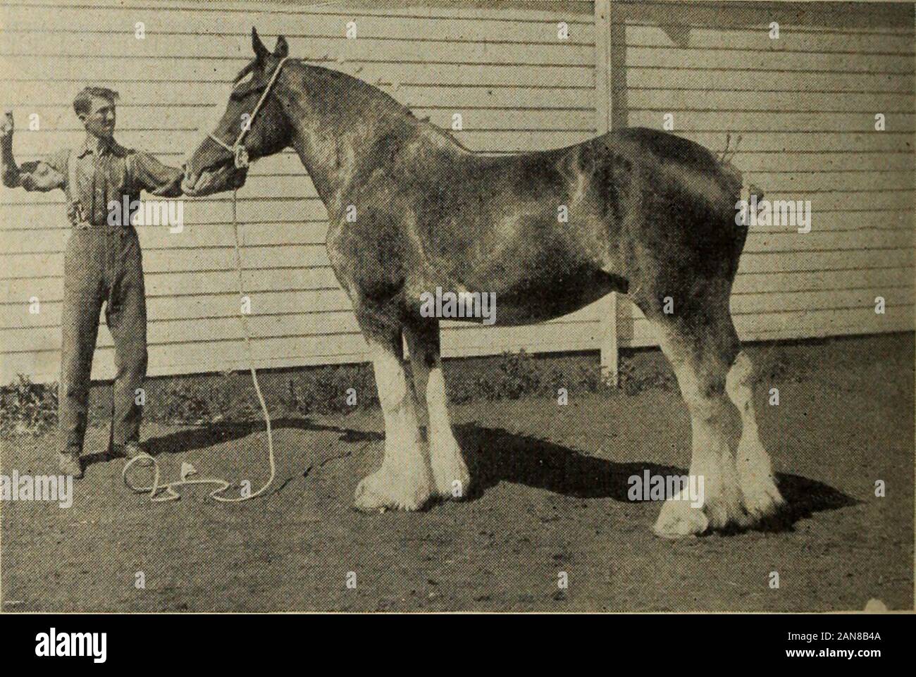Downwardtrend hi-res stock photography and images - Alamy