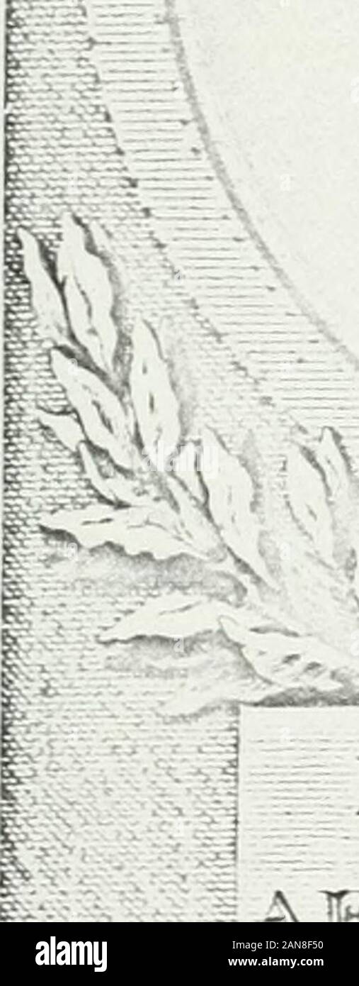 Iconographie voltairienne : histoire et description de ce qui a été publié sur Voltaire par l'art contemporain / [par] GDesnoiresterres-- . ttre ne chiffonna pointmédiocrement le patriarche de Ferney, qui sempressait décrire àdAlembert, avec son impétuosité ordinaire : &lt;?? Je crois quil est très-convenable que le roi de Prusse souscrive, et quon rende à Jean-Jacques son denier, a 11 écrivait, trois jours plus tard, à G ri m m :• Jean-Jacques est plus enflé que moi, mais cest damour-propre. IIa eu soin quon mît dans plusieurs gazettes quil a souscrit, pour cettestatue, deux louis dor; mes pa Stock Photo