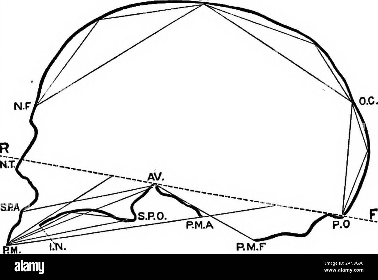 An illustrated encyclopædic medical dictionaryBeing a dictionary 