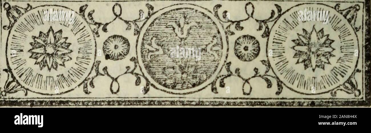 Ivlivs Inscription Ivlivs caes hi-res stock photography and images - Alamy