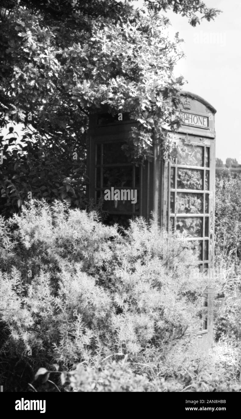 Disused and overgrown telephone box, Triangle Lane, Titchfield, Hampshire, England, UK.  Black and white infra-red filmstock, with its characteristic prominent grain structure, high-contrast and glowing bright foliage. Stock Photo