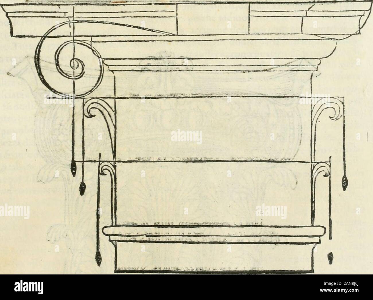 L'architettura . 1 n&lt;&lt; t^mmmmi Lffi R 0 SEtllM^ I rf7 I Tofcani trasferirono ne loro capitelli tutti gli ornamenti che epoterono trouave neglialtri, & tennono il medefimo ordine nel fare la campana, la cimafa, le foglie, Se il fiore ,che iCorintryj, ma in cambio de viticci feciono certi manichi che vfeiflcro fuori fottolequattro cantonate della cimafa, chehaueuano daggetto due parti intere. Ma la frontedel capitello ritrouandofi per altro ignuda jprefeifuoi adornamenti dalli Ionici ^percio-che in cambiò de viticci ella manda fuori que*«ìanieh*e cartocciata, & ha il labbro della ca-pana p Stock Photo