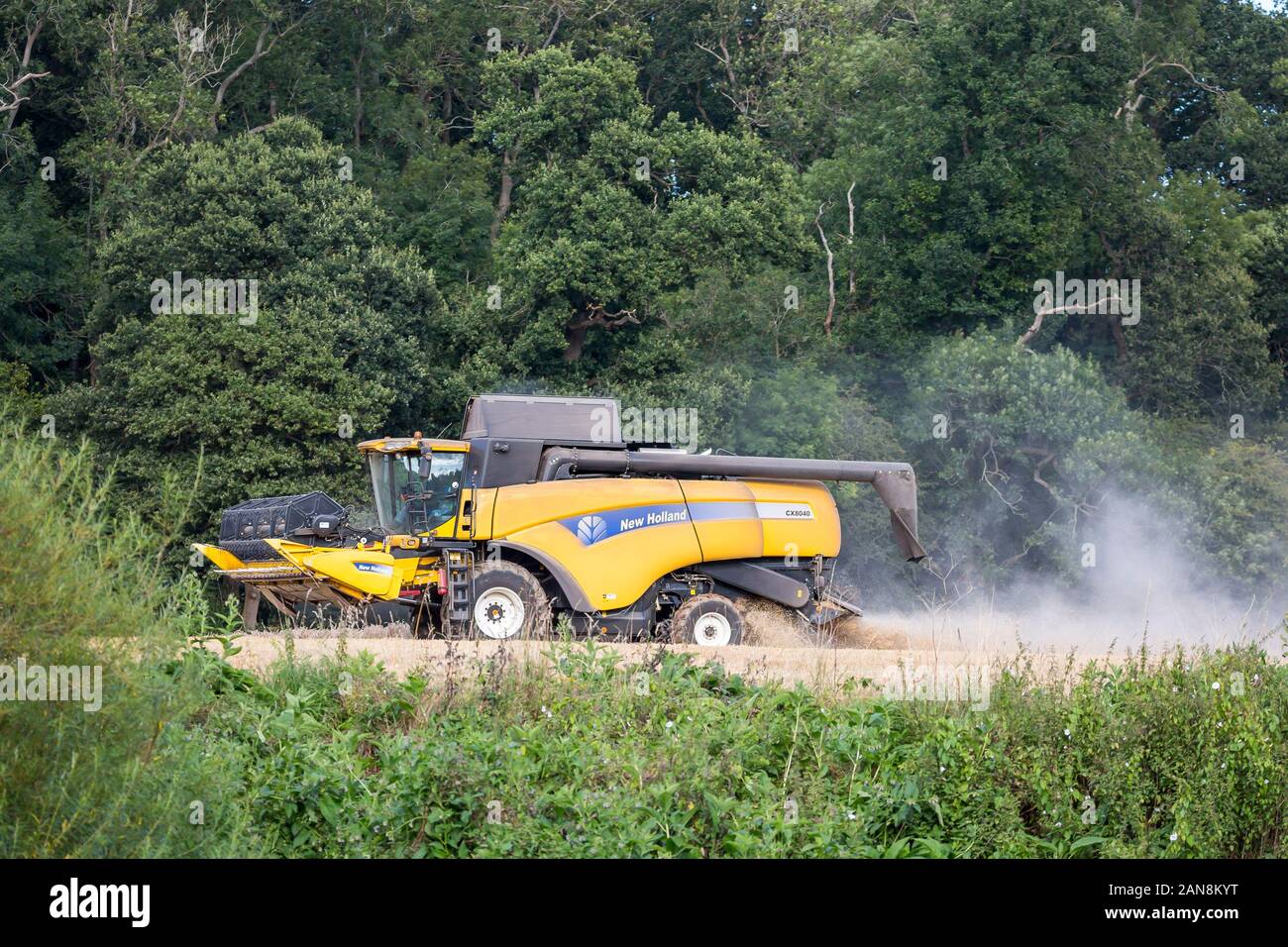 Side view of isolated UK combine harvester busy at work in the English countryside. Arable farming in the UK working with modern farm machinery. Stock Photo